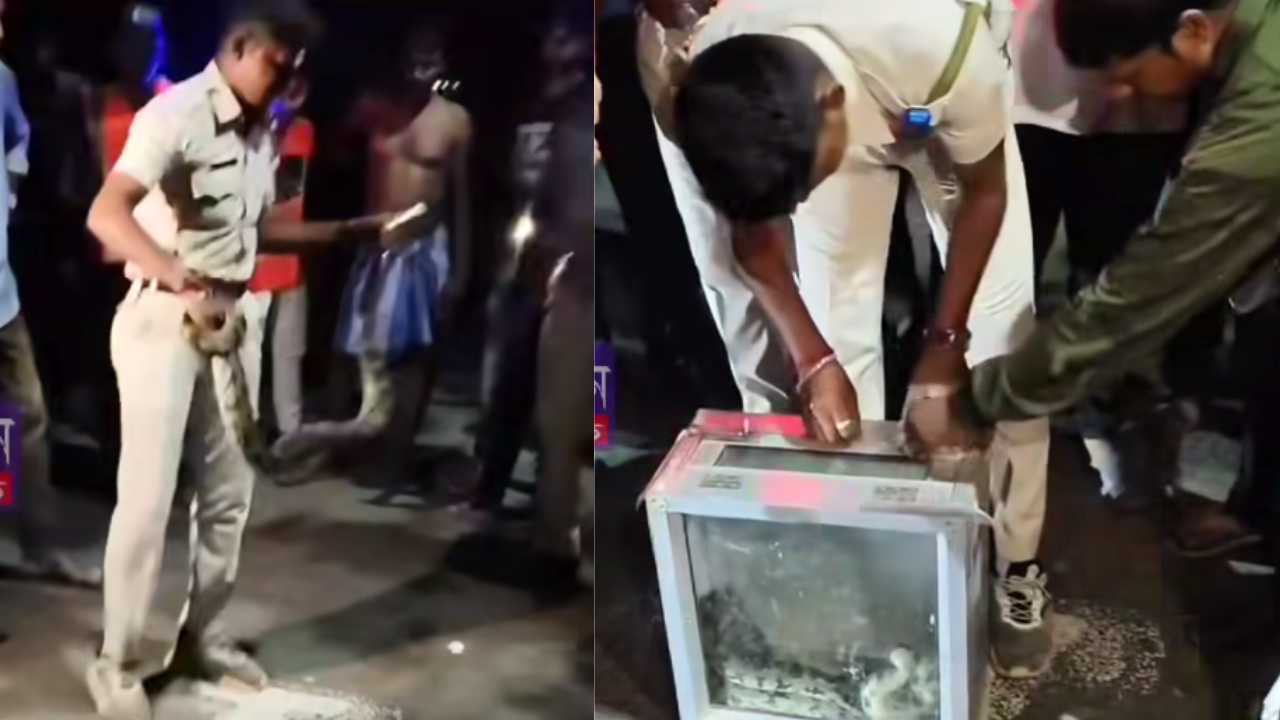 Python On Bardhaman Road rescued by police