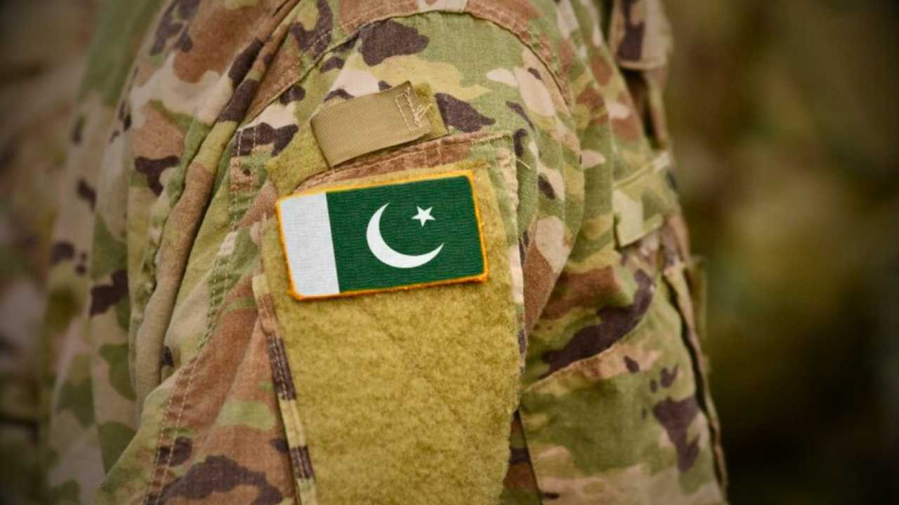 Pakistan To India Claimed 17 terrorists India pets where killed