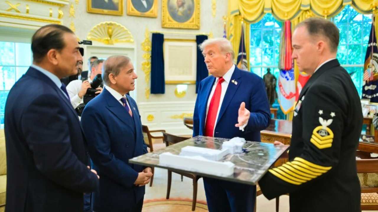 Shehbaz Sharif On Donald Trump he said Trump is a man of peace