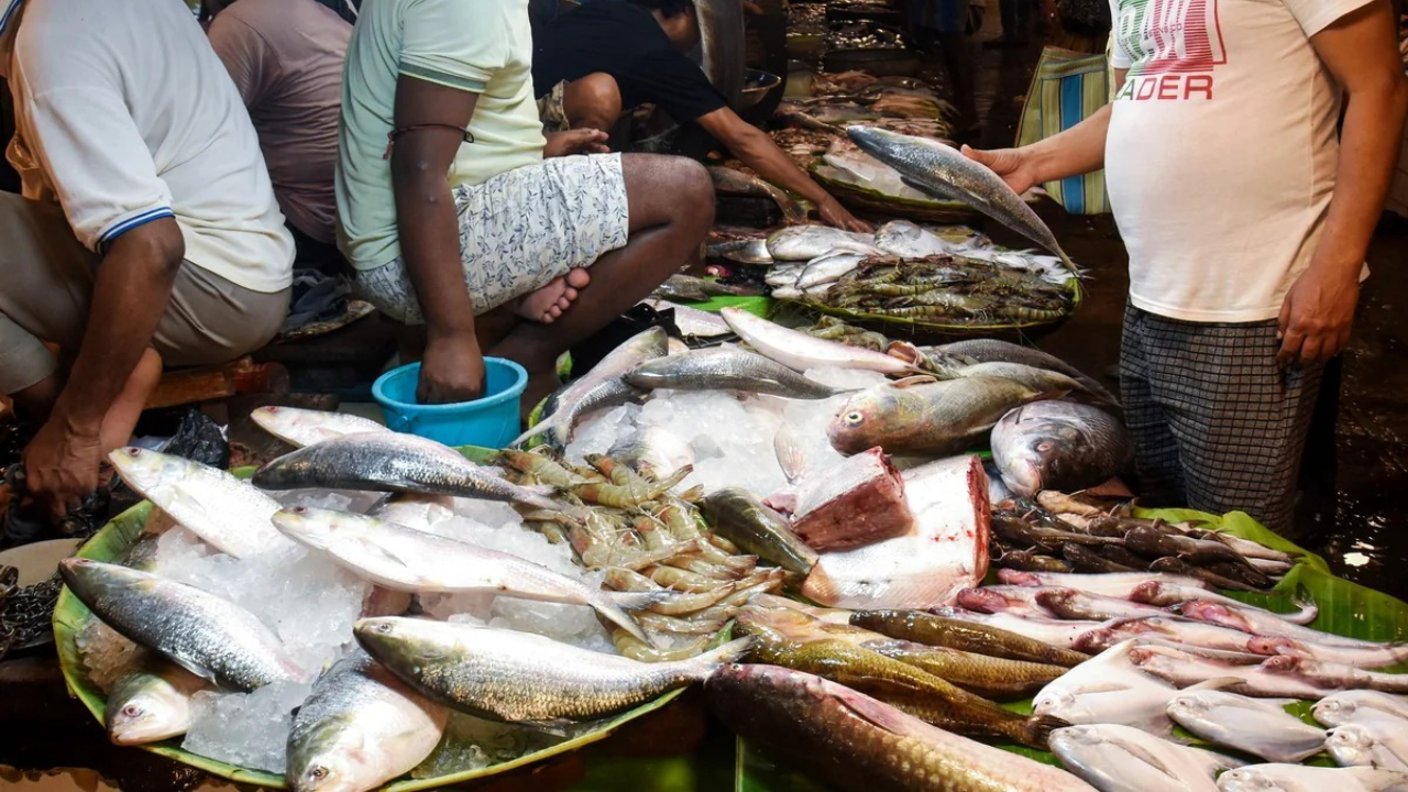 bangladesh ilish