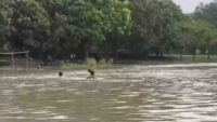 malda flood