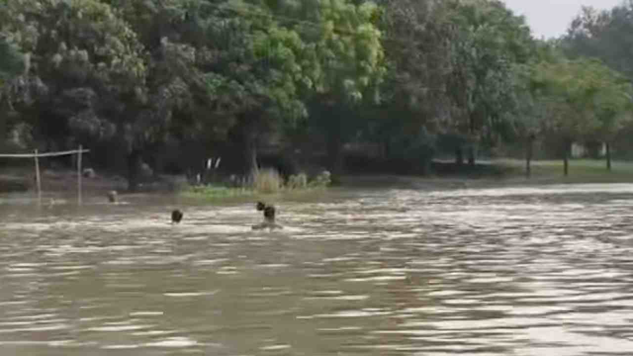 malda flood