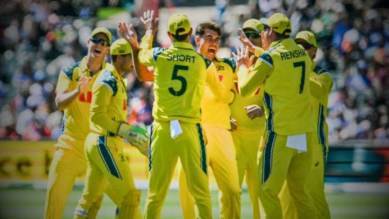 India Vs Australia Australia wins the series