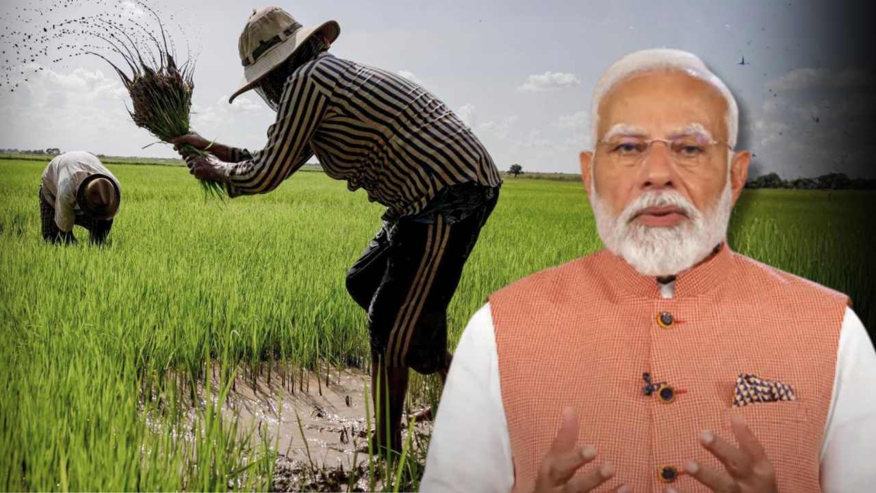 PM Dhan Dhanya Krishi Yojana