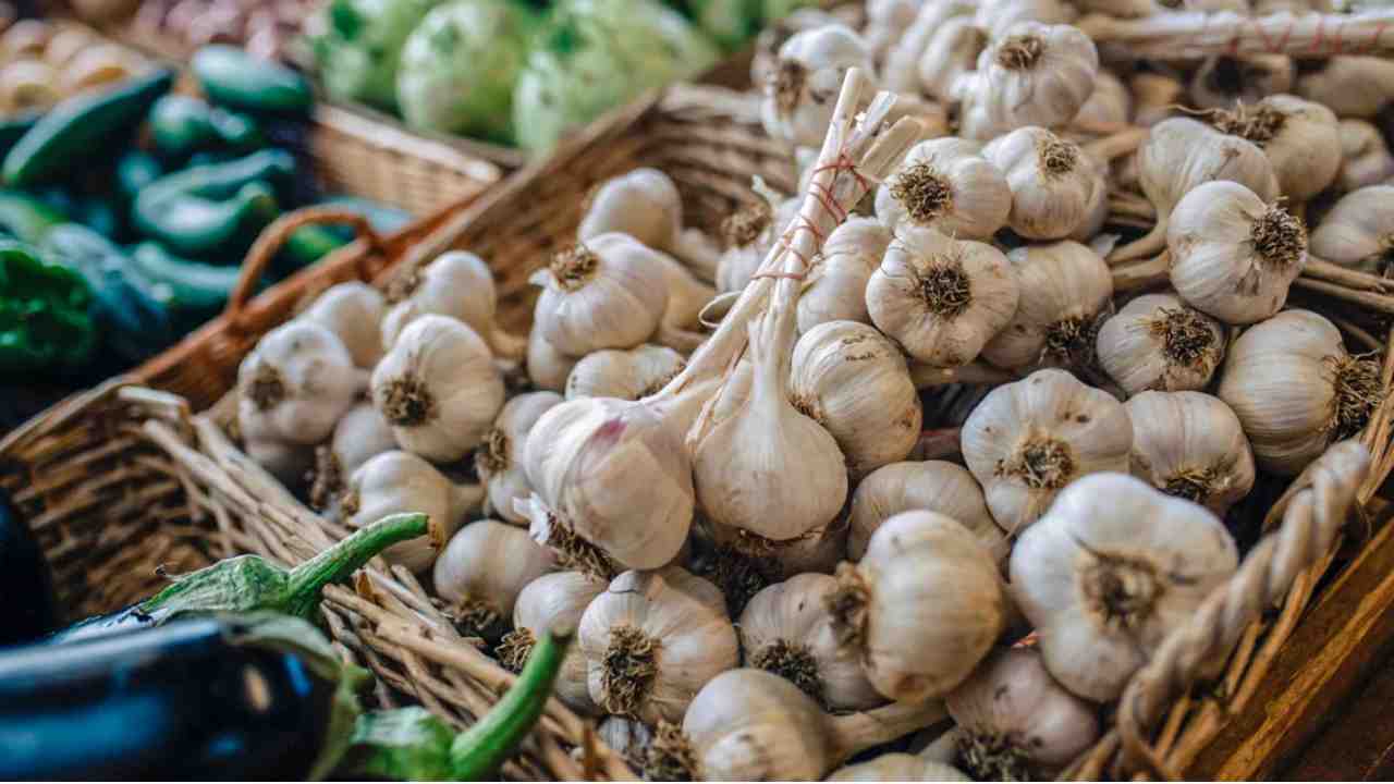 garlic benefits