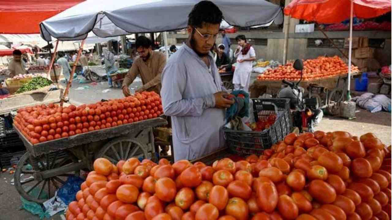 pakistan tomato price