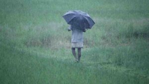 weather today