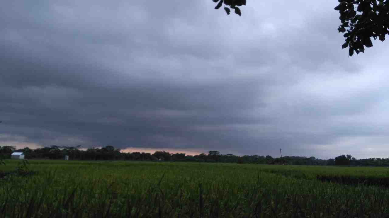 weather today