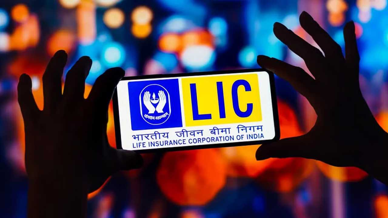 LIC Profit