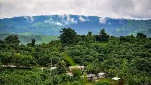 Tripura King On Chattogram Bangladesh Accused India