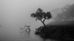 winter weather today