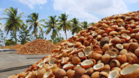 Coconut Copra Price