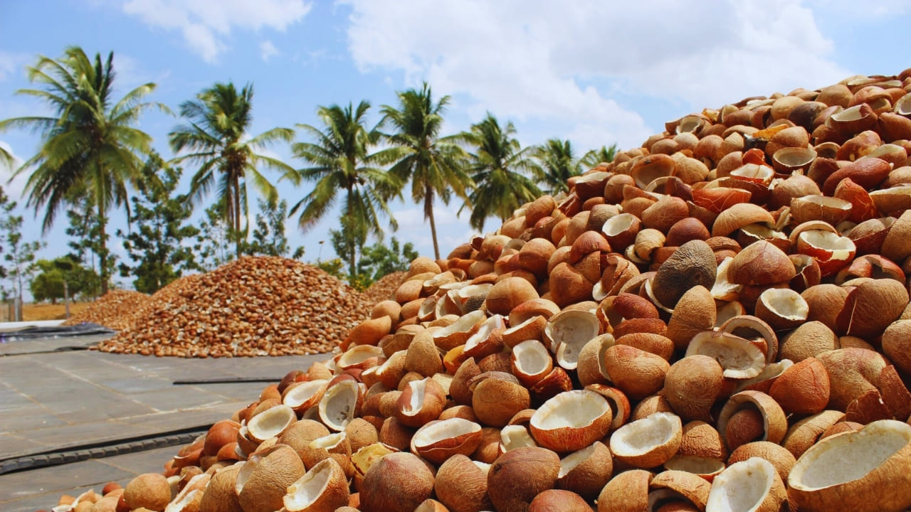 Coconut Copra Price