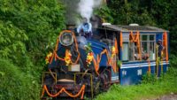 Toy Train Jungle Safari started again in North Bengal