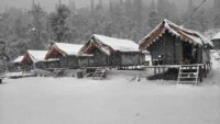 Himachal Snowfall