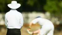 Bee Attack During Cricket Match an Umpire died