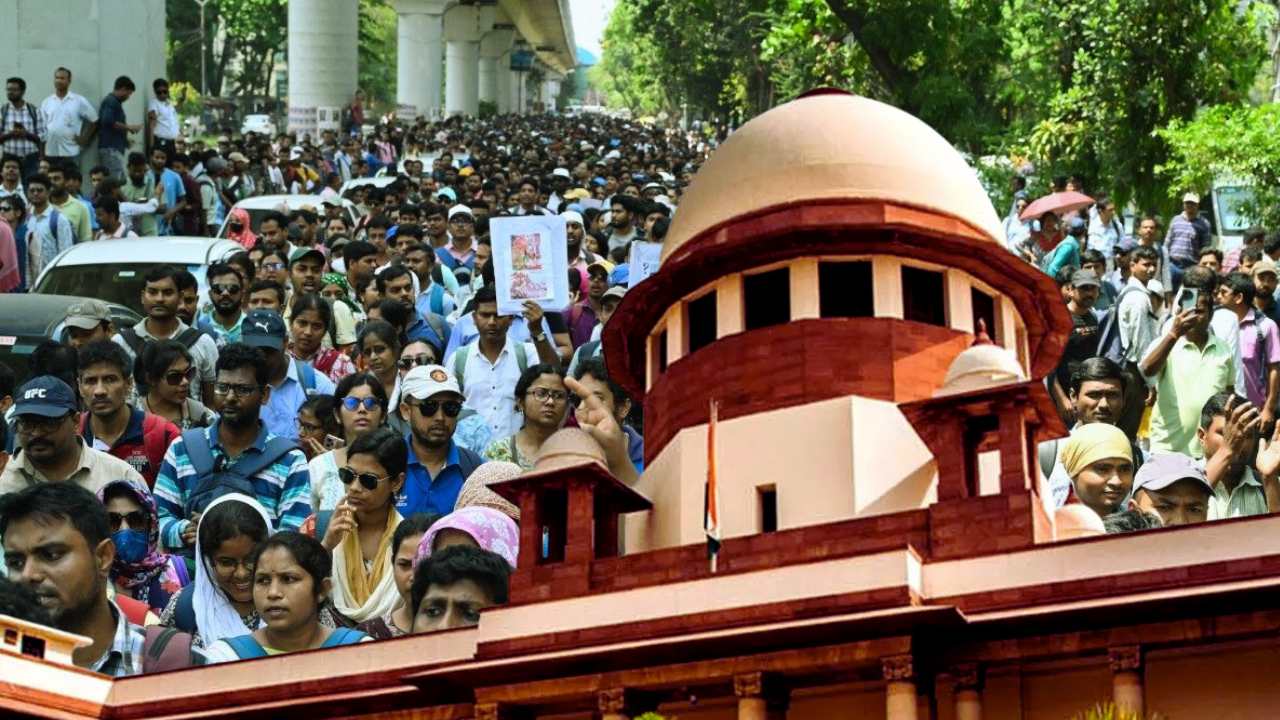 Primary Teachers Job Case