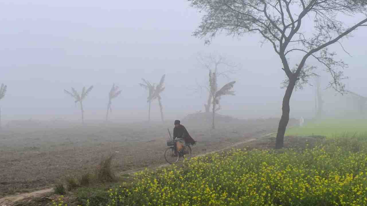 South Bengal Weather Today