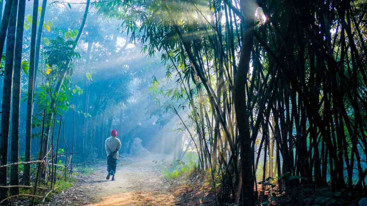 South Bengal Weather Today