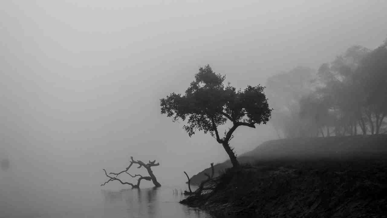 South Bengal Winter Weather