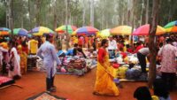 sonajhuri haat holi