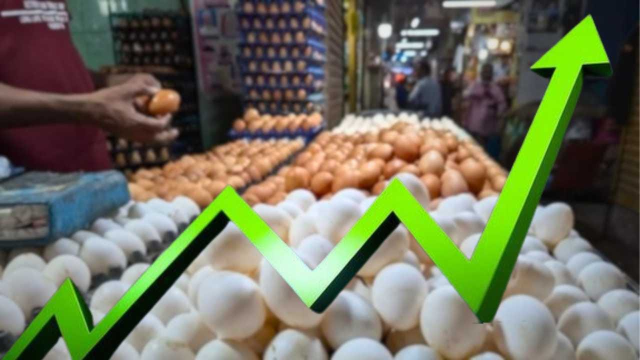 Egg Price Hike In Kolkata