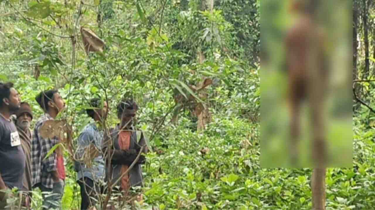 Farmer Commits Suicide