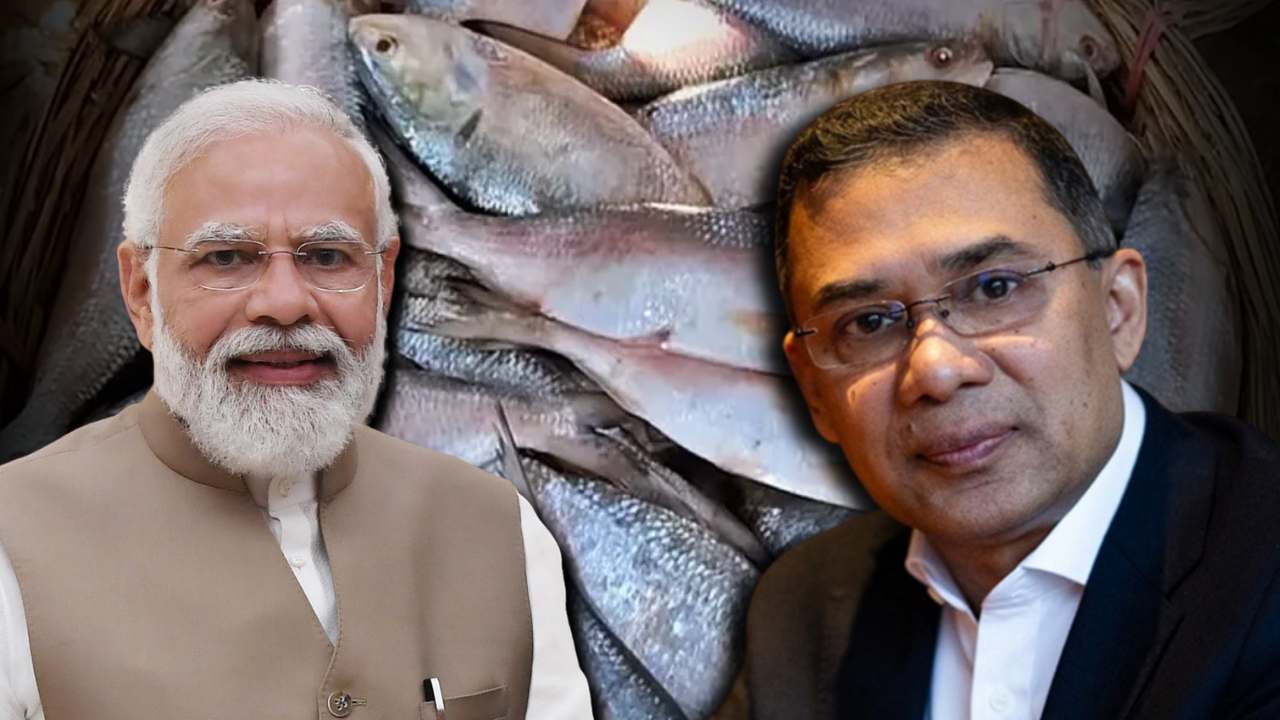 Bangladeshi Hilsa Fish