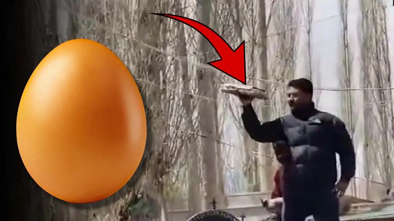 Egg Auction in Ladakh