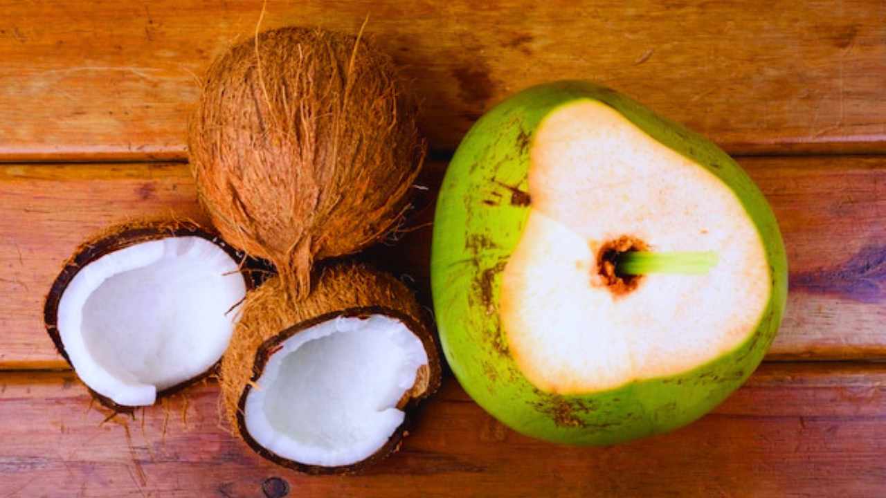 Green Coconut vs Coconut