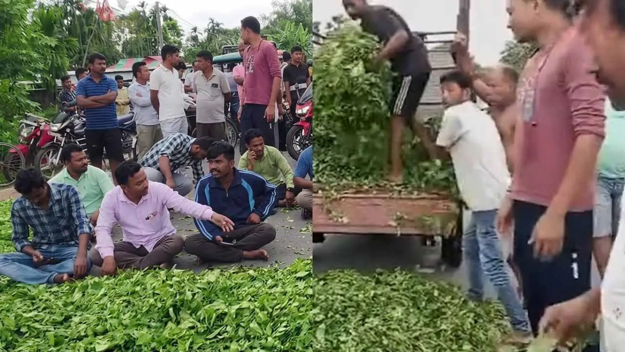 Tea Farmers Blocked Roads