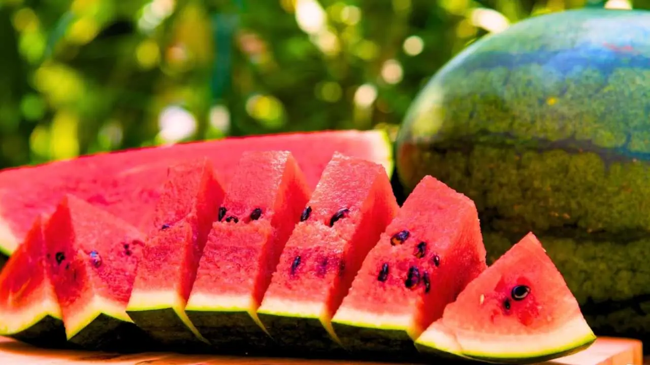 Watermelon Death Case