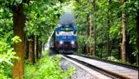 Indian Railways planted 81.59 lakh trees