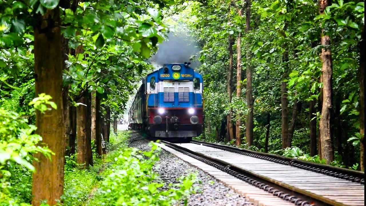 Indian Railways planted 81.59 lakh trees