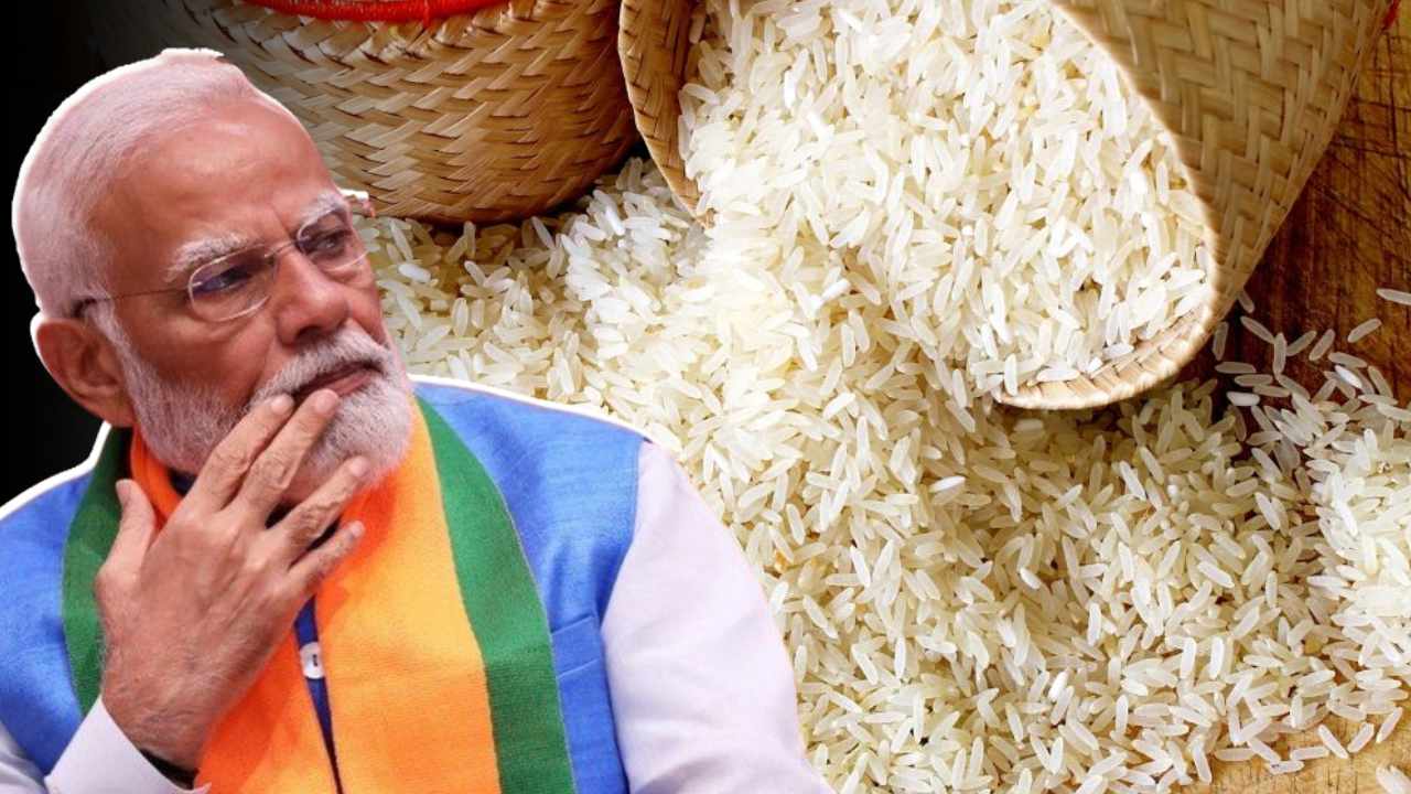 Basmati Rice Export