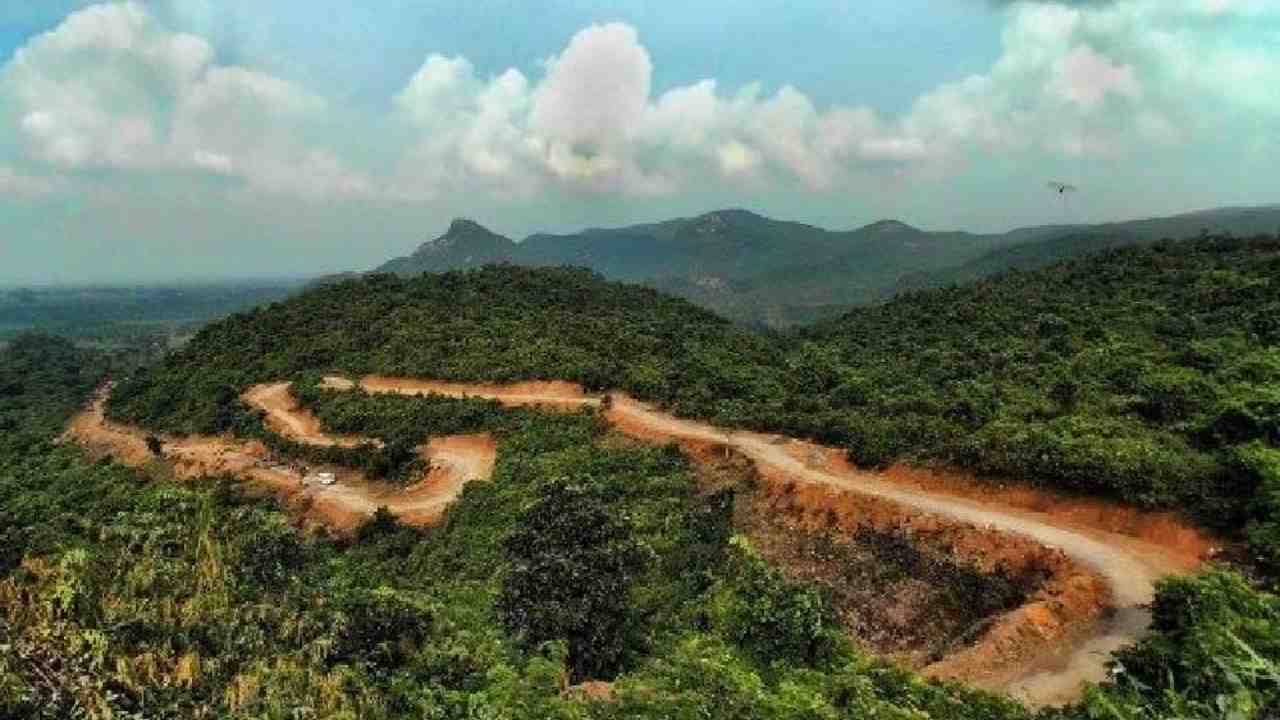 Duarsini