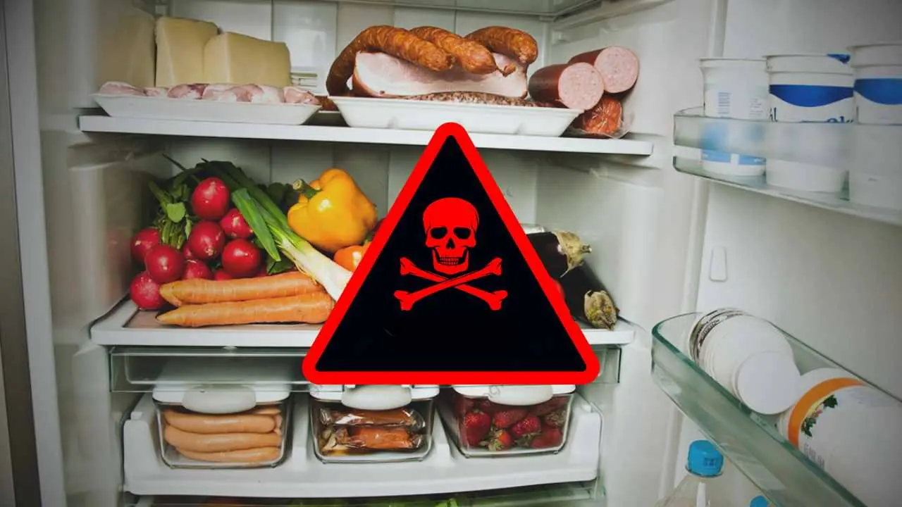 Foods