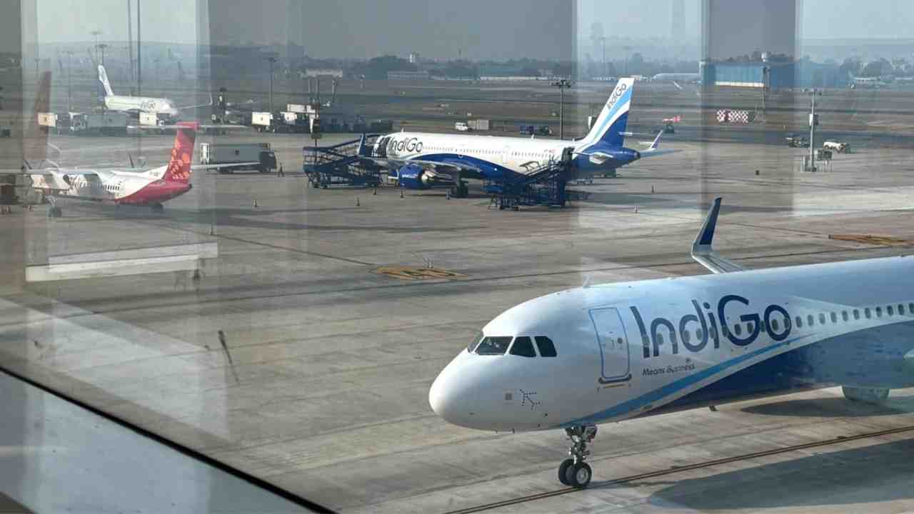 Indigo