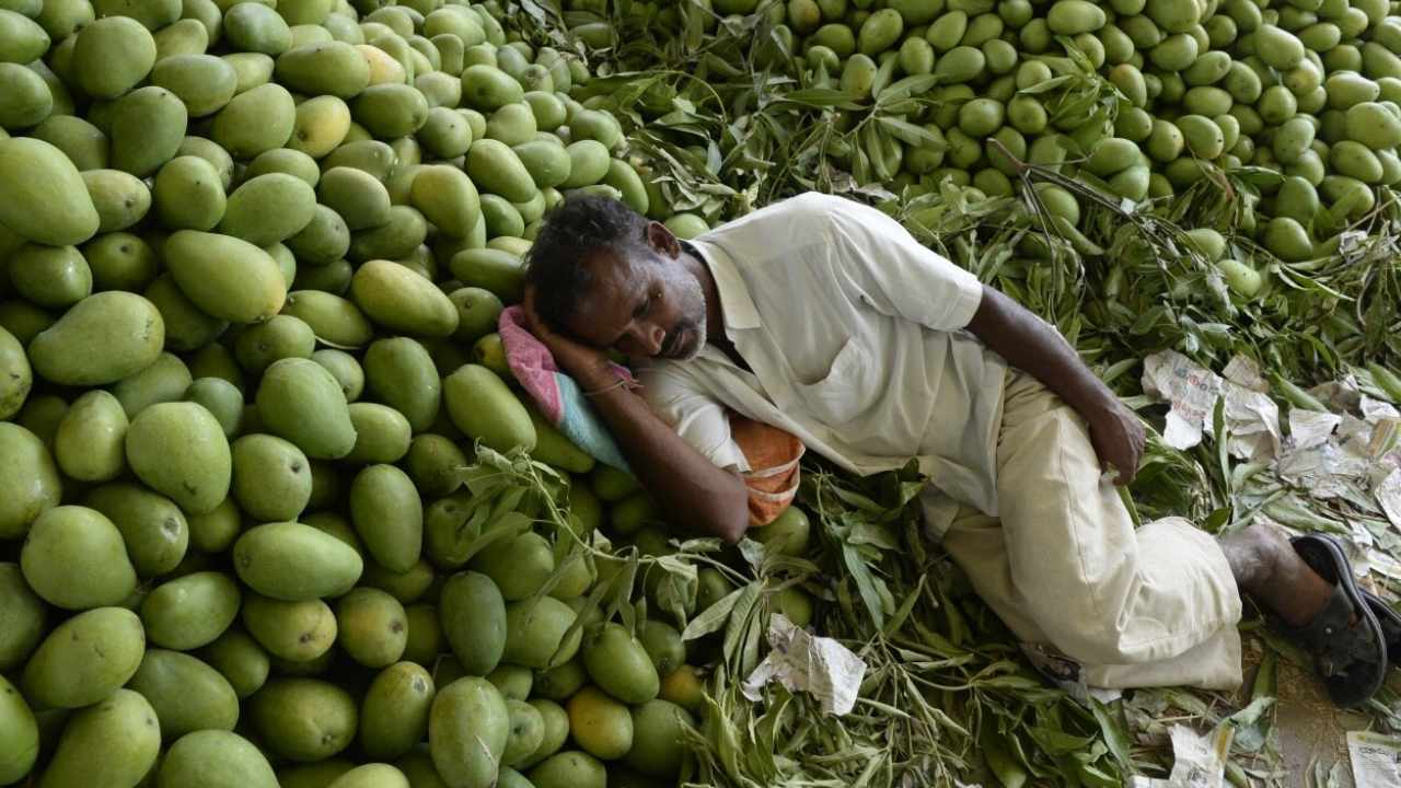 Japan on Indian Mango