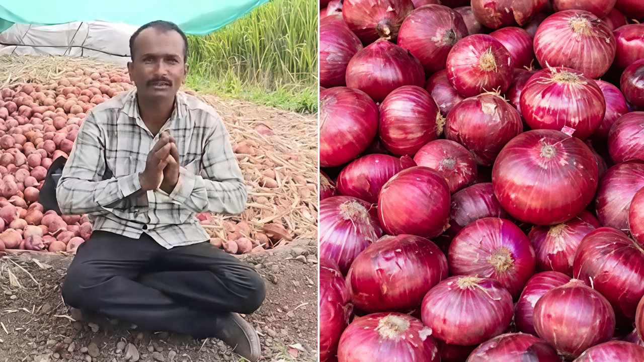 Onion Market