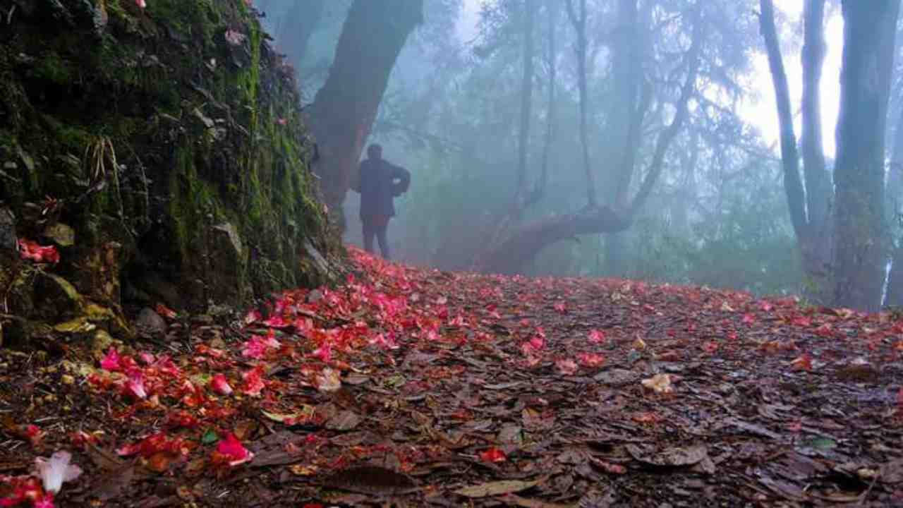 Sikkim Versey
