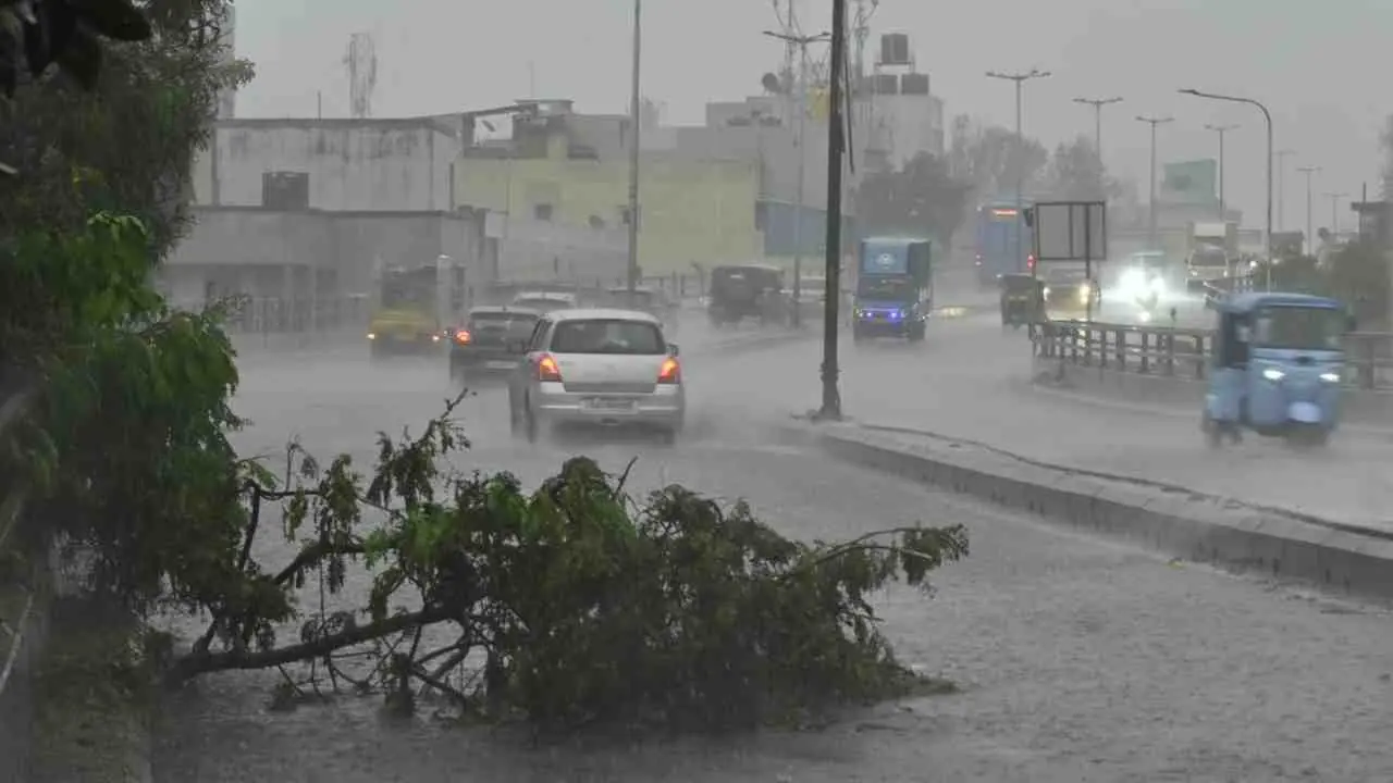 South Bengal Weather Update