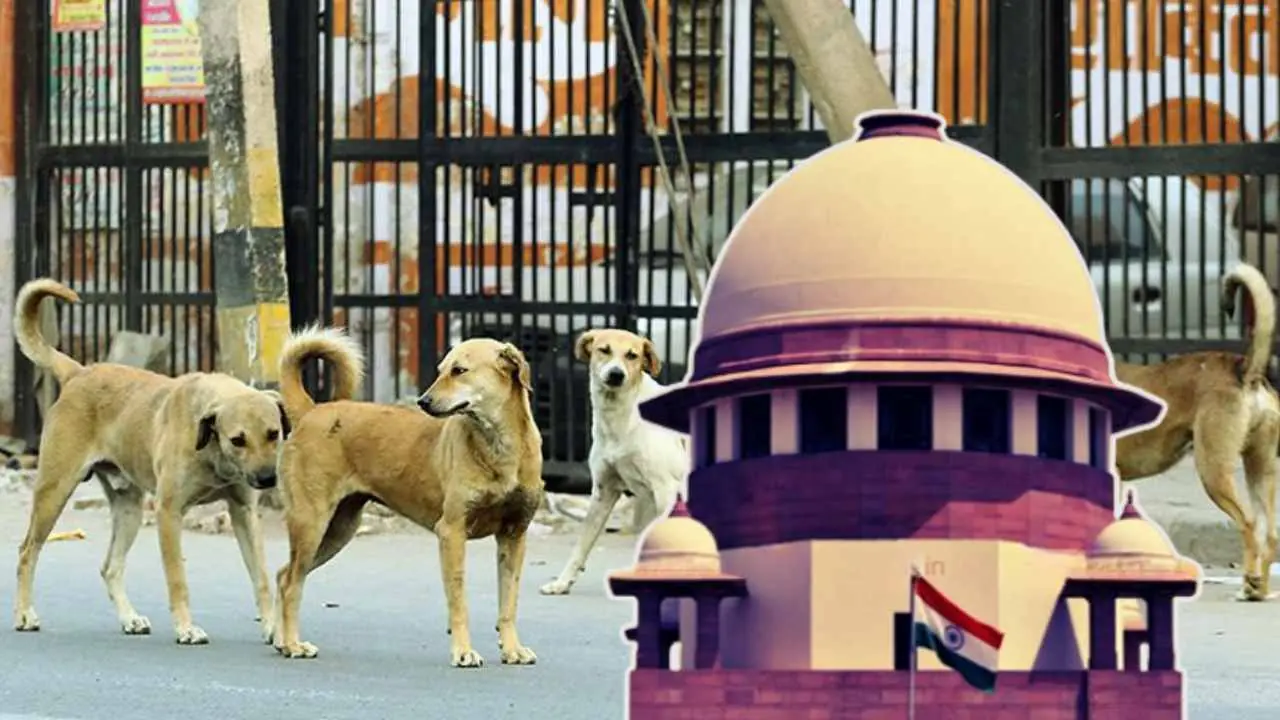 Supreme Court