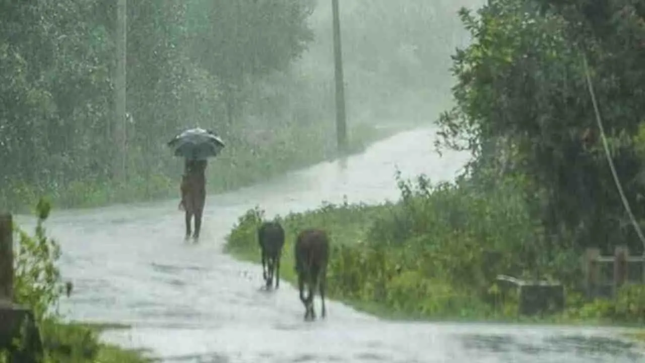 Wet season