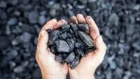 Coal
