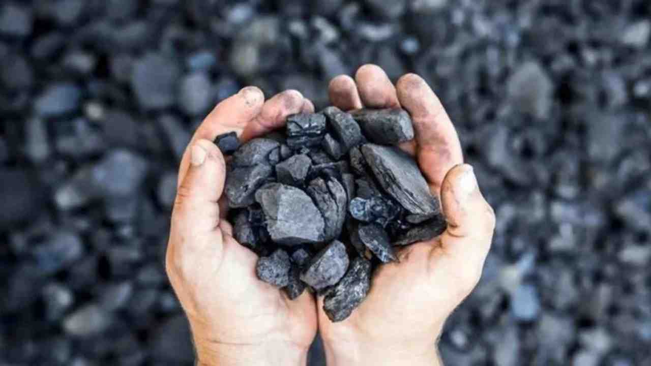 Coal