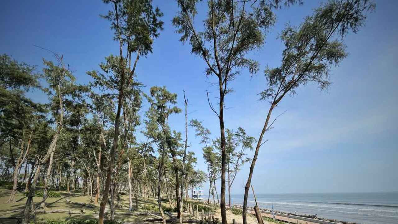 Digha Jhau Forest