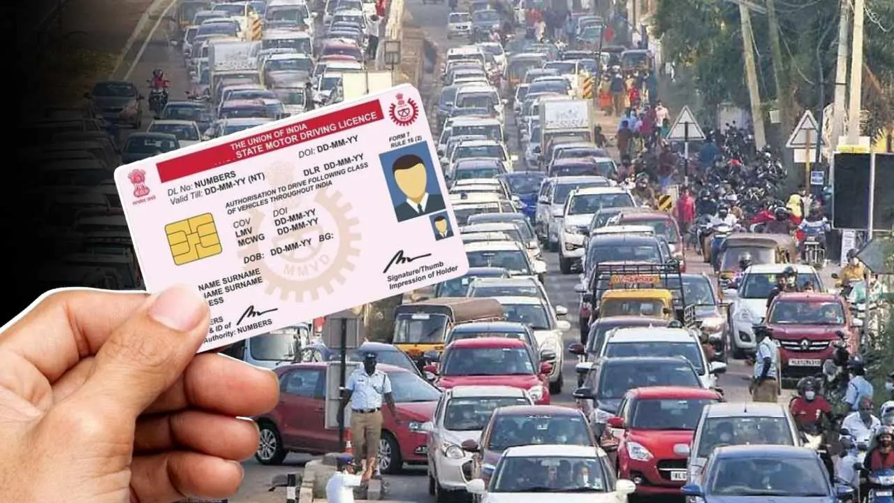 Driving License
