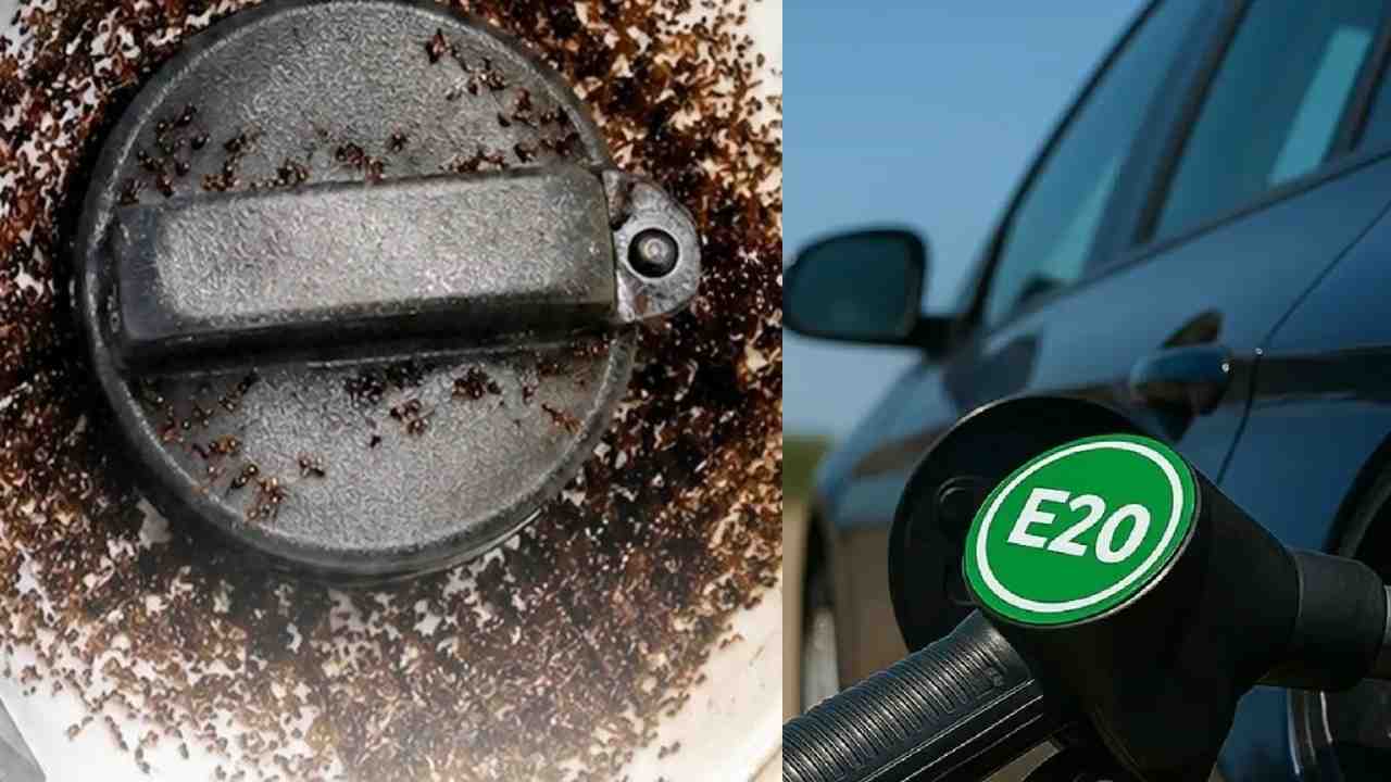 E20 Fuel