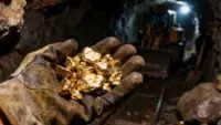 Gold Mine